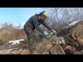 zimani 250 pro. распиловка дров
