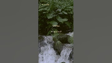 استمع لسورة الفاتحة كاملة 🤍✨ لا تنسَ المتابعة للمزيد من التلاوات 🌹#تلاوة #قرآن #الفاتحة