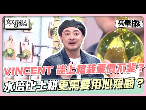 VINCENT 迷上植栽一盆要價不斐？水培比土耕更需要用心照顧？ 女人我最大 20240510