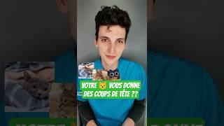 Vous l'avez vécu?Source "Why does my 🐱headbutt me?"S.Hovis,petmd,2022 #chat #chats #veterinaire #vet