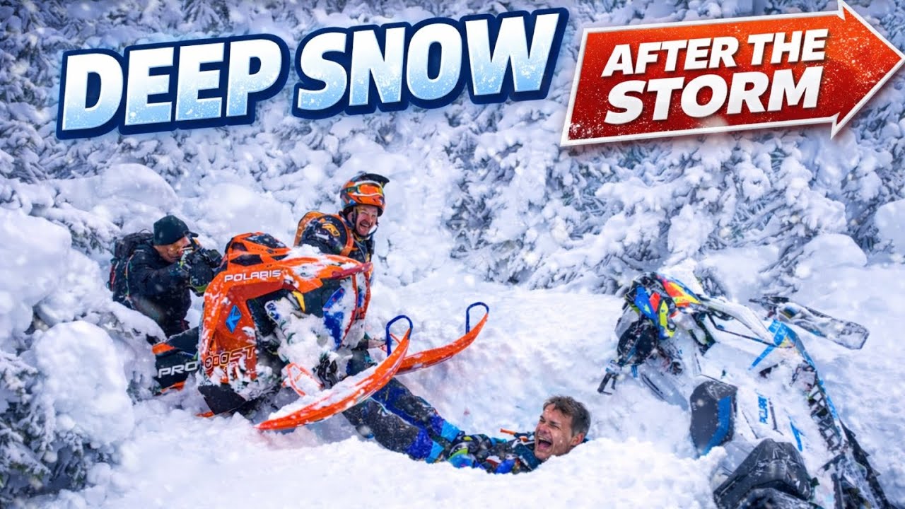 Island Park, ID | Fresh Storm Conditions