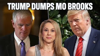 Trump Abandons Pathetic Lackey Mo Brooks