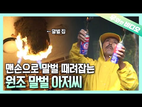 🐝이분 최소 전생에 꿀벌, 맨손으로 말벌 집 제거하는 남자┃He Must Be the <strong>Reincarnation</strong> of a Honey Bee... 🐝