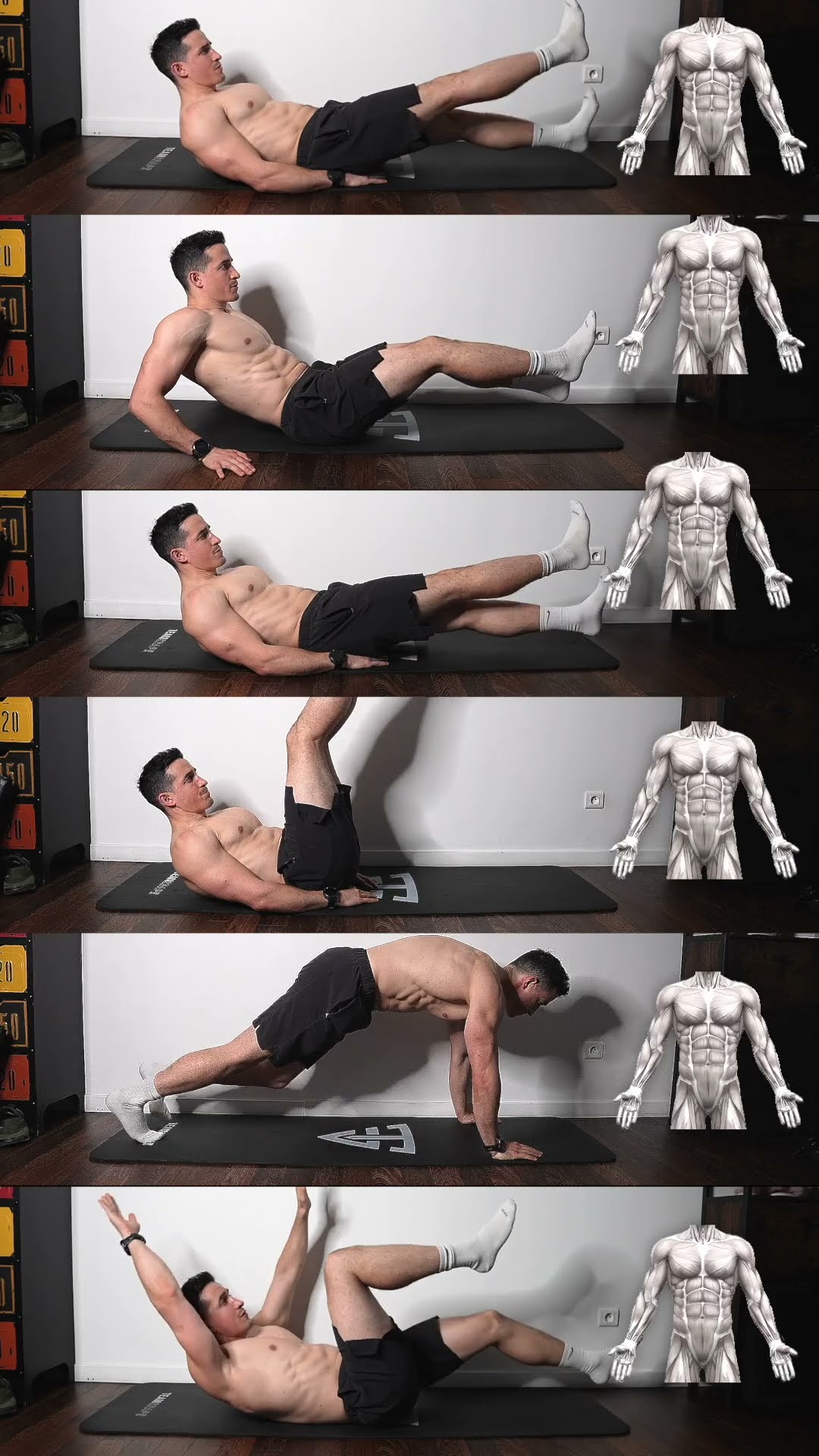 Best lower abs exercises !! ?