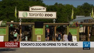 Toronto zoo fully reopens to the public