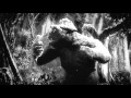 King Kong &#39;33 - Birds, Blender-Animation (Martin Arnold, Cruzador-Digital)