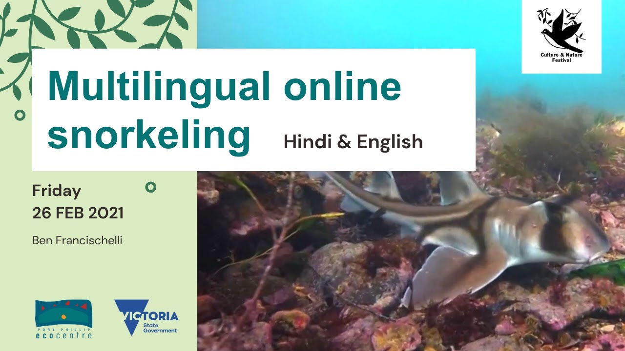 Multilingual online snorkeling (English & Hindi) Culture & Nature