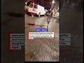 LP Chases Shoplifter and Makes Him Drop It All 😂