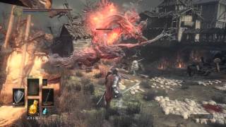 カタリナのジークバルドvs炎のデーモン を放っておいてみた Youtube