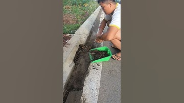 Remove Trash Clogged Culvert Drain #remove #unclog #satisfying #shorts