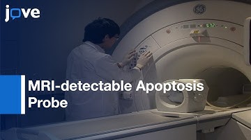 Synthesis Of An MRI-detectable Apoptosis Probe l Protocol Preview