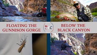 Floating the Gunnison Gorge below the Black Canyon | Catarafts VS Rafts Vs Drift Boats