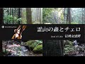 霊山の森と癒しのチェロ 信州安曇野（自然映像とBGM/心身浄化・癒し/BGM）sound of soft cello