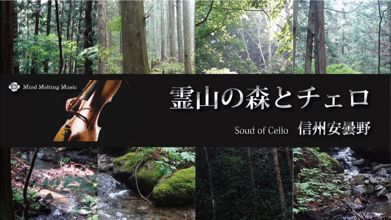 霊山の森と癒しのチェロ 信州安曇野（自然映像とBGM/心身浄化・癒し/BGM）sound of soft cello