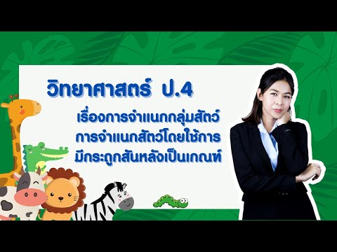 วิทยาศาสตร์ ป.4 หน่วย 2 EP3 เรื่องการจำแนกกลุ่มสัตว์ การจำแนกสัตว์ โดยใช้การมีกระดูกสันหลังเป็นเกณฑ์