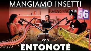 Ep. 56 - Mangiamo insetti con Entonote