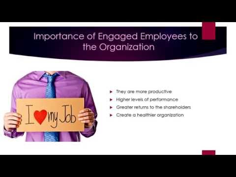 Employee Engagement Measurement