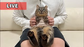 もちまる日記の配信のサムネイル画像