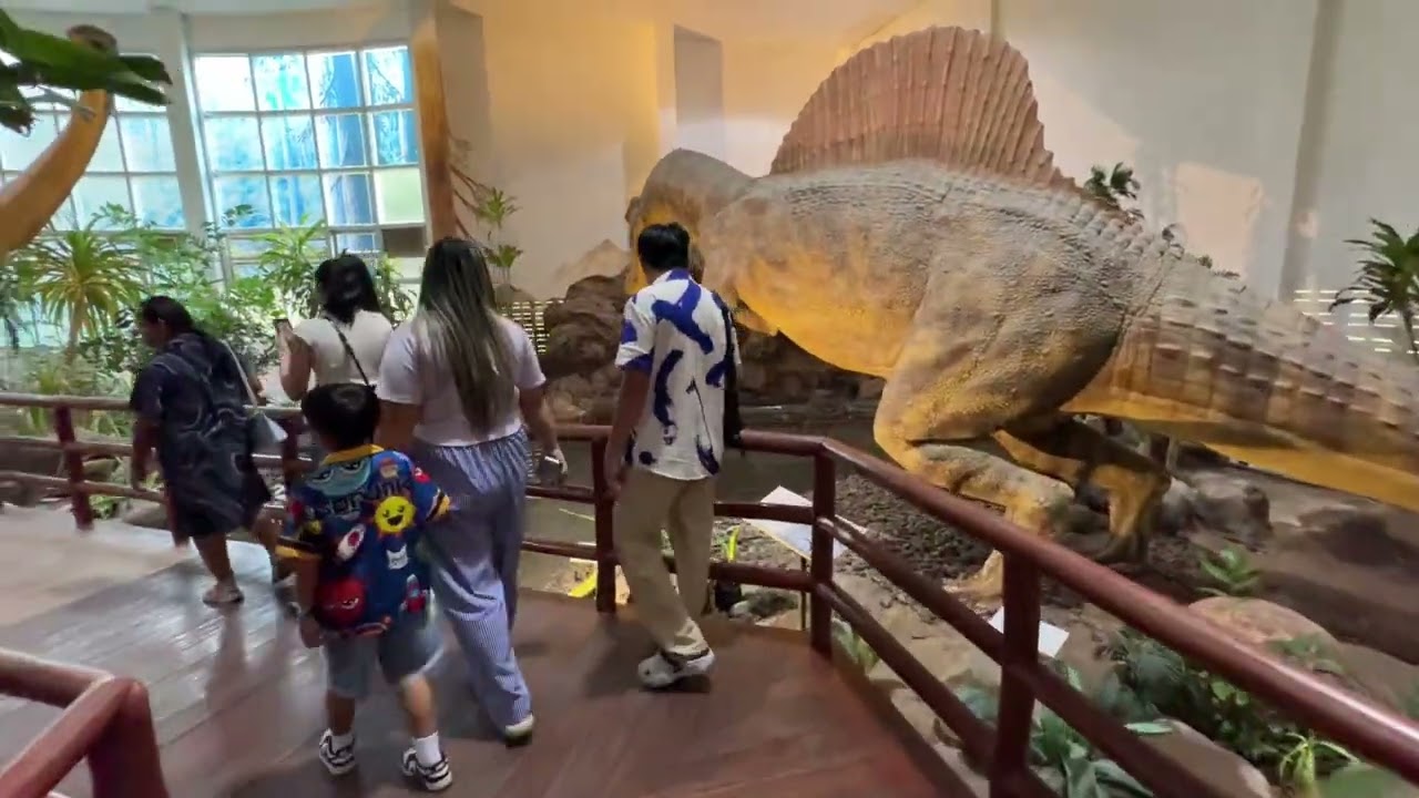 น้องกัปตันเที่ยว พิพิธภัณฑ์ไดโนเสาร์ภูเวียง จังหวัดขอนแก่น 5