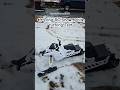 4ft long #RC #Snowmobile Turning in very lil #snow. #Winter #scale #1/3scale #big #fast #cool #tech