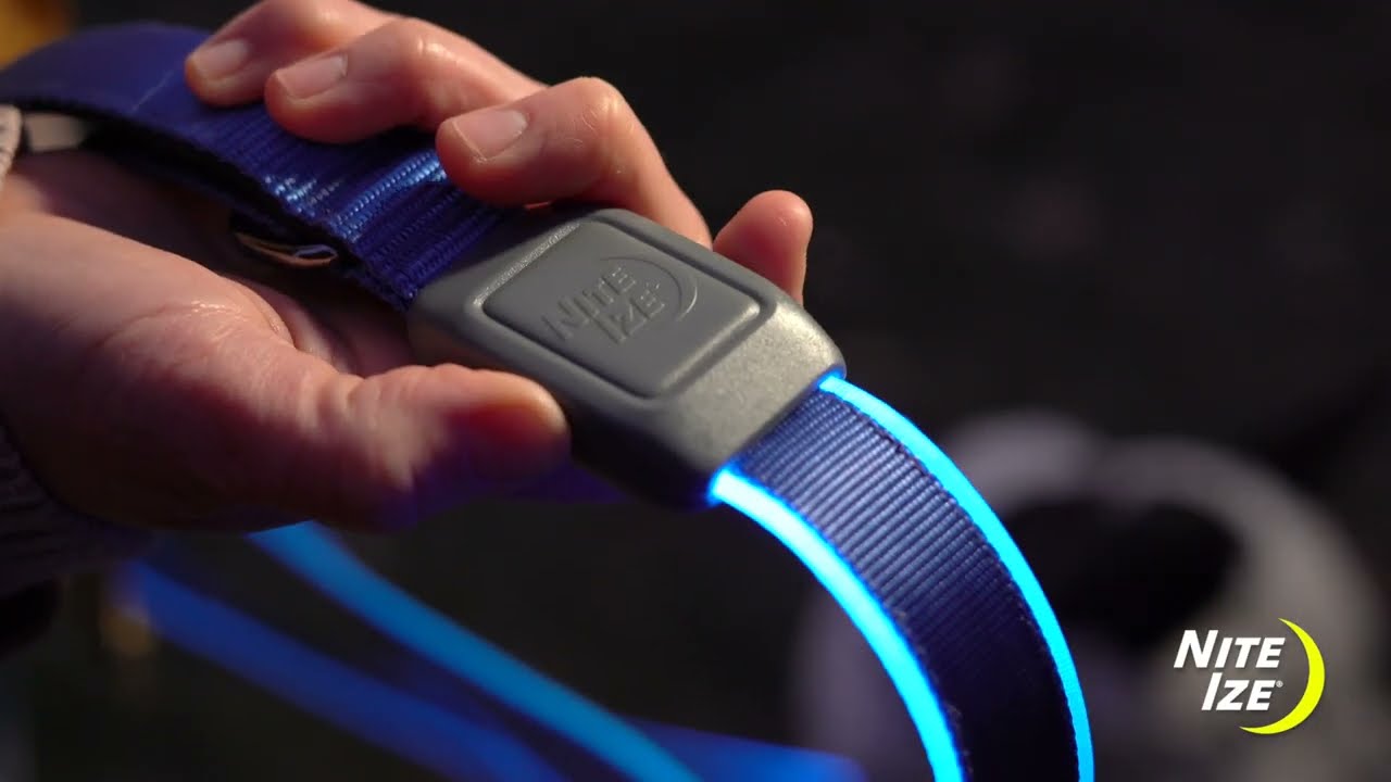 Preview of Nite Ize NiteDog Rechargeable LED Dog Leash Video