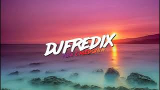 DJ FREDIX FT TE TAATA HARA NEI ZOUK 2K23
