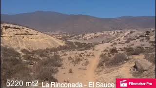 Terreno sector la Rinconada - El Sauce