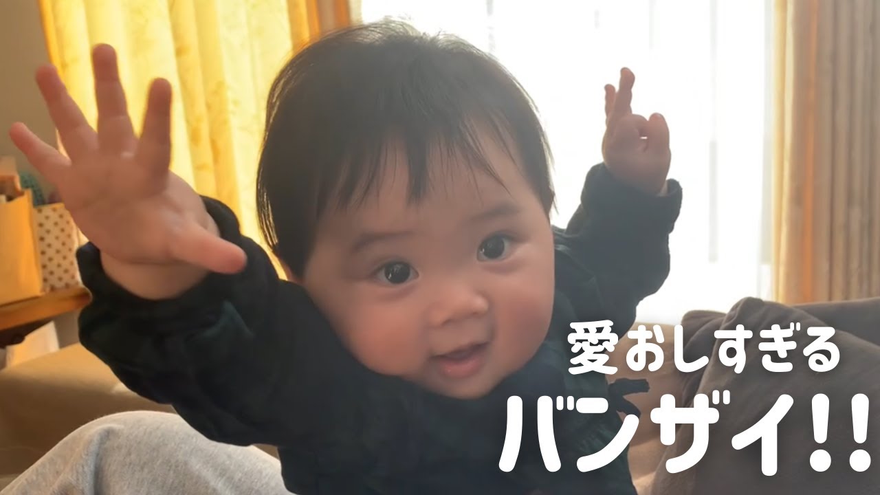 生後230日 愛おしすぎる 両手を広げてバンザイ をする生後7ヶ月の赤ちゃんに癒される Day 230 Ponu Raising Hand Youtube