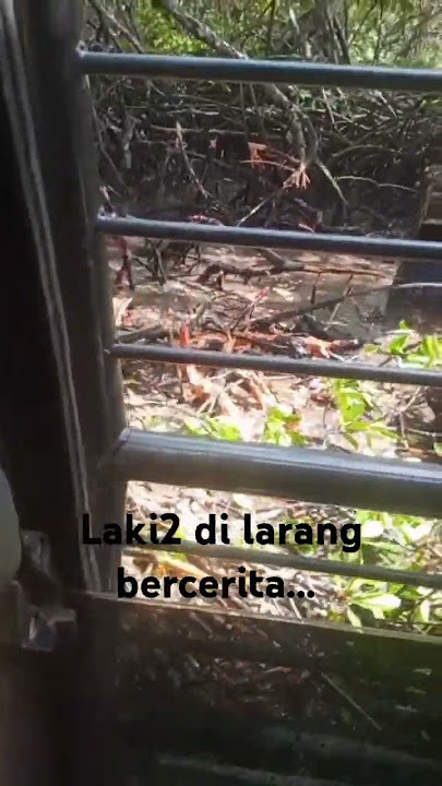 Pekerja lapangan