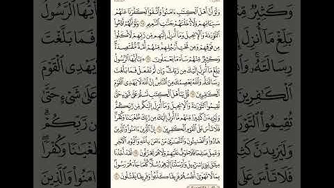 الورد اليومي: 4 صفحات (117-118-119-120) لتجنب هجر القرآن | تذكير يومي مستمر #قرآن #تلاوة