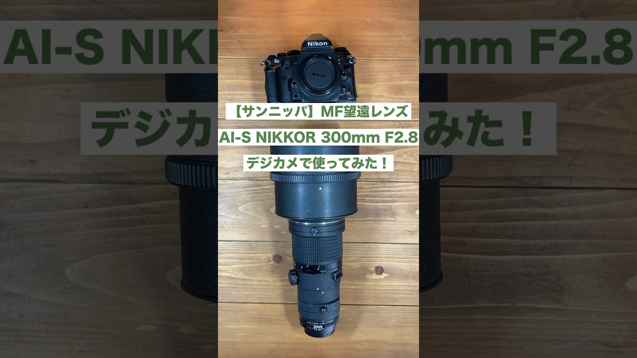サンニッパ】MF望遠レンズ AI-S NIKKOR ED 300mm F2.8をデジカメで使っ