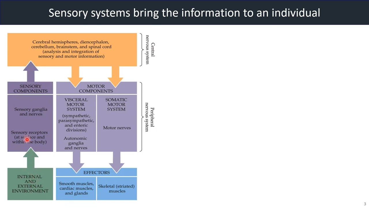youtube-video-thumbnail