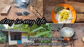 നാട്ടിപ്പുറത്തെ ഒരു കുടുംബം A day in my life| malayalam vlog|dailyvlog|dayinmylife|familyvlog