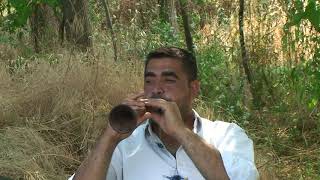 Kahramanmaraş Davul Zurna