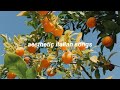 Full playlist of aesthetic italian songsitalian music indie pop