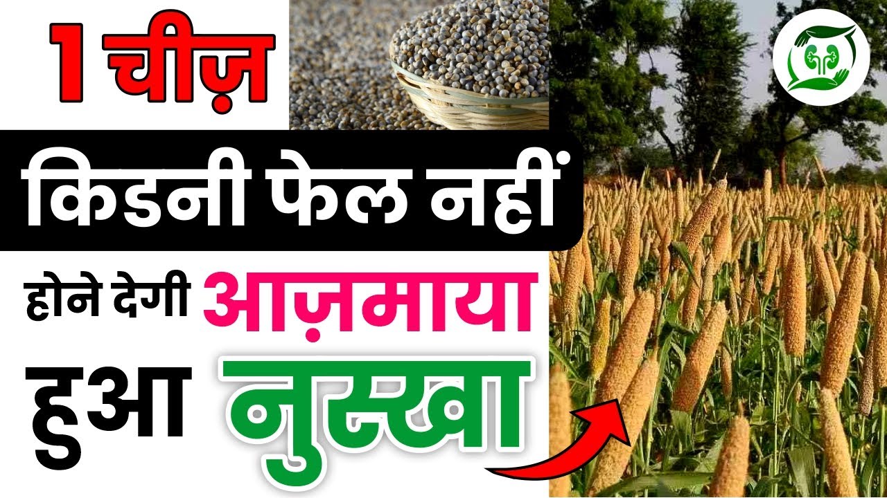 ये जरूर खाये किडनी फेल नहीं hogi I millet for kidney patients I