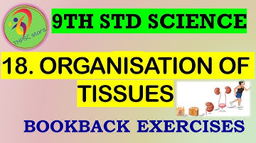 Organisation of Tissues | 9th std science | lesson 18 | bookback answers | Biology