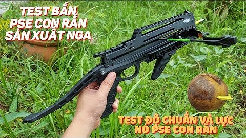 🔴 NỎ SĂN PSE CON RẮN SẢN XUẤT NGA BẮN MŨI TÊN VÀ BI | TEST LỰC BẮN VÀ ĐỘ CHUẨN NỎ