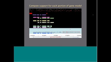 i5k Webinar April 4th, 2018: Automated Genome Annotation and Analysis presented by Dr. Carson Holt