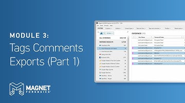 Module 3: Tags, Comments, Exports, and Portable Case (Part 1)