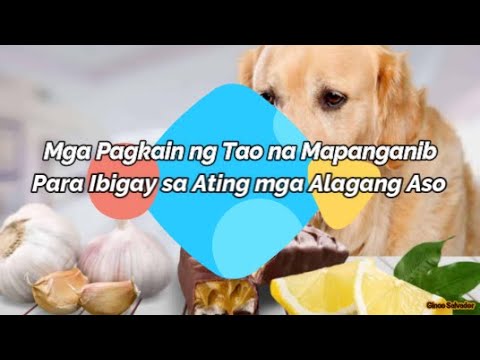 Video: Mga Alalahanin Tungkol Sa Mga Alalahanin Sa Pagkain Ng Alagang Hayop At Paramount Ng Kaligtasan Sa Mga May-ari