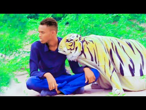 Riwaayadii Shabeelka C BOY FILMS