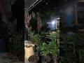 Liputan 24  live Tengah Malam