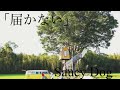 Saucy Dog 「届かない」