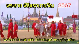 นักท่องเที่ยวตื่นเต้นเมื่อเห็นสิ่งนี้ในเมืองไทย#งานวันพืชมงคลปี2567#rungfaพาเที่ยวyoutube