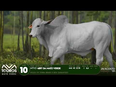 LOTE 10   MTVD 4897