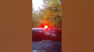 Whelen R316 Rota beam amber / red (red rear facing) Rotator ModuFlash