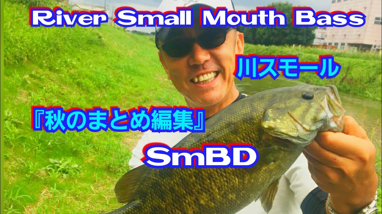 Yasu バス釣り 秋の川スモールまとめ編集 Bassfishing 18年9月 Youtube