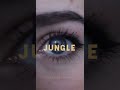 Fred Again Jungle Adriatique Remix Official Visualiser mp3