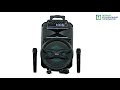 Автономна акустична система BIG240BAT USB / MP3 / FM / BT / TWS + 2pcs VHF mic